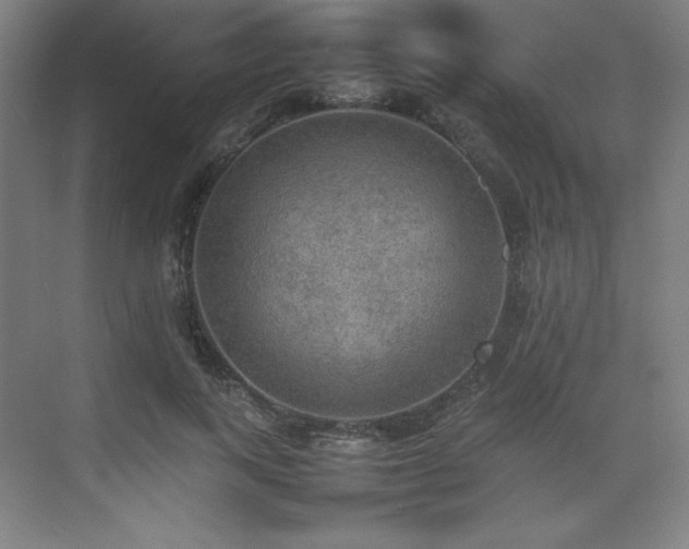 X0000074970743200609011215