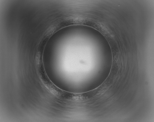 X0000074970744200609011215