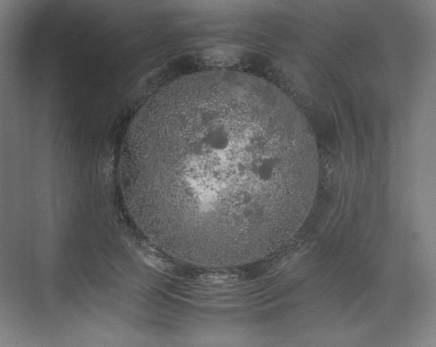 X0000074970745200609011215