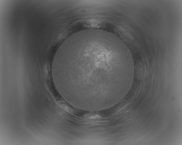 X0000074970747200609011215