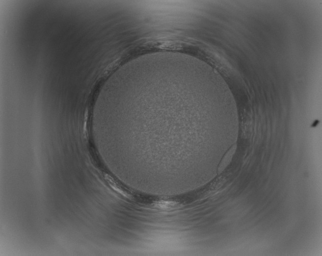 X0000074970748200609011215