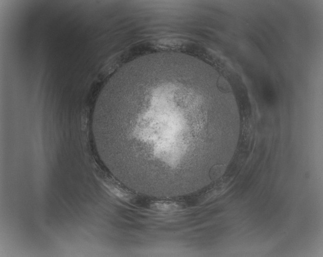 X0000074970749200609011215