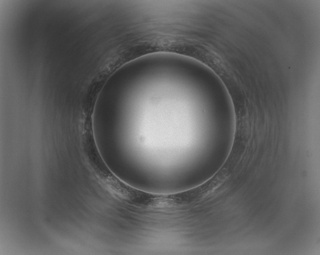 X0000074970750200609011215