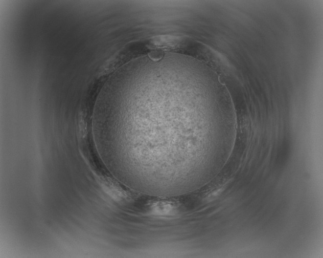 X0000074970751200609011215