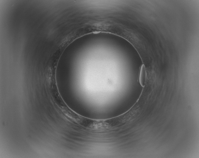 X0000074970752200609011215