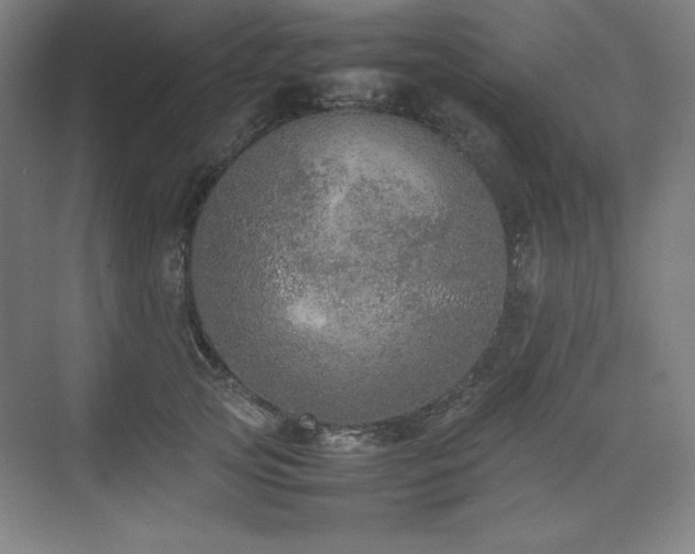 X0000074970753200609011215