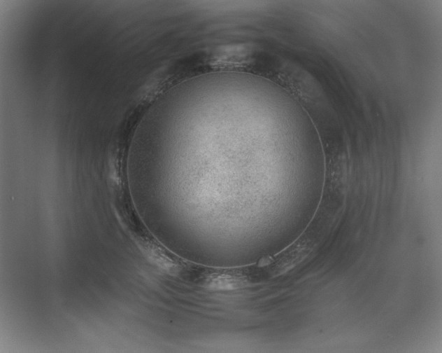 X0000074970755200609011215