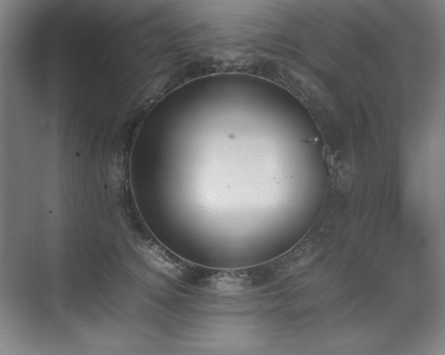 X0000074970756200609011215