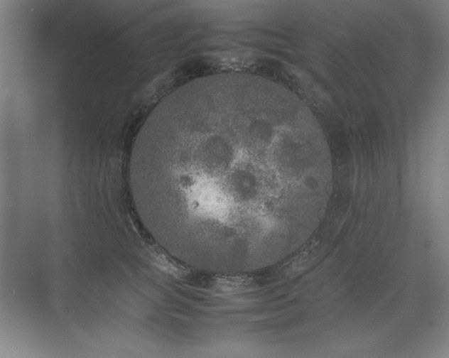 X0000074970757200609011215