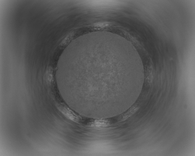 X0000074970758200609011215