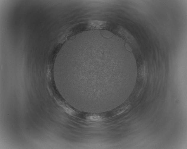 X0000074970759200609011215