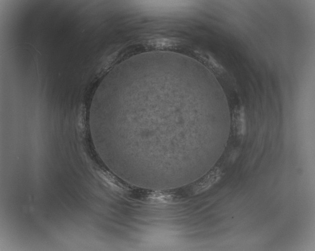 X0000074970760200609011215