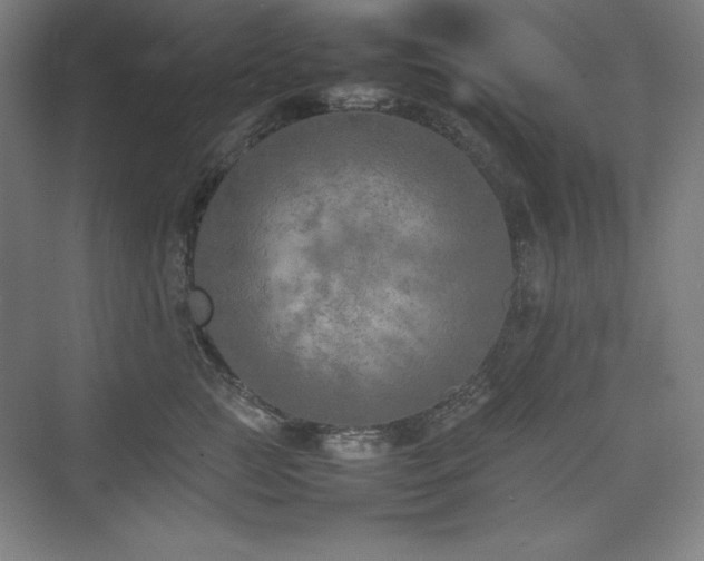 X0000074970761200609011215