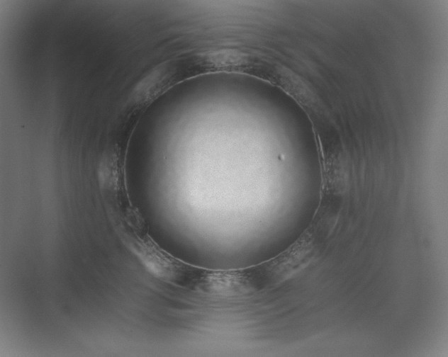 X0000074970762200609011216