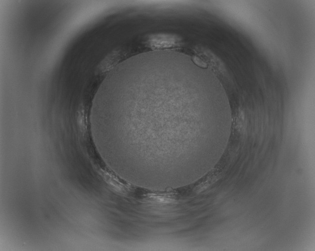 X0000074970763200609011216