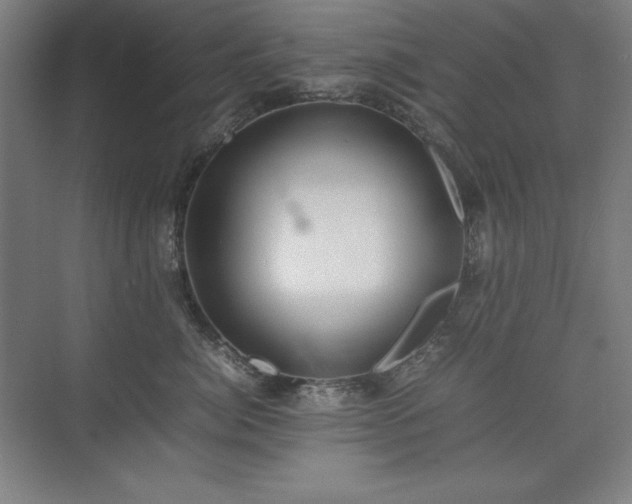 X0000074970764200609011216