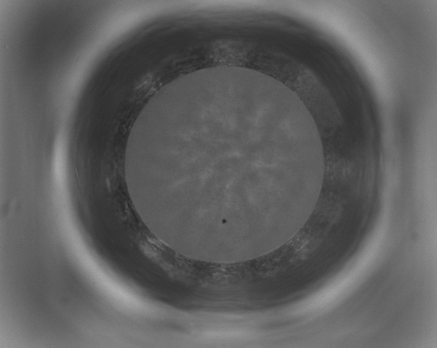 X0000074970765200609011216