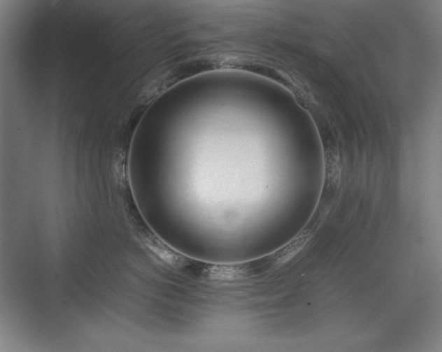 X0000074970766200609011216