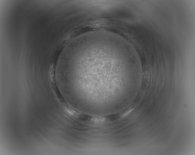 X0000074970767200609011216