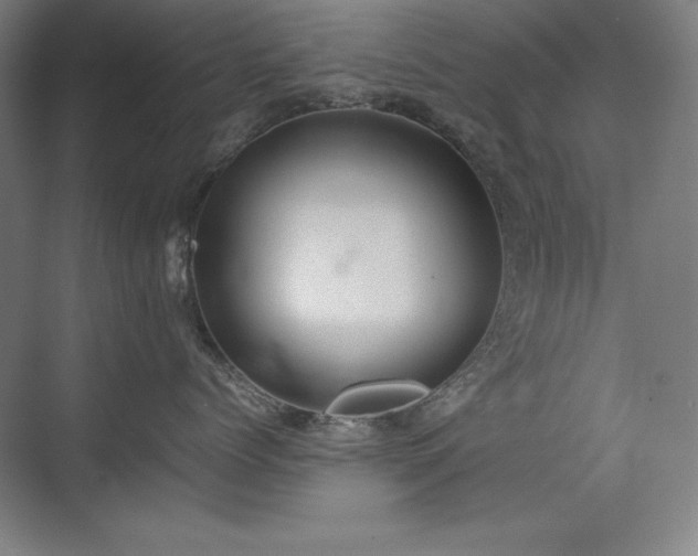 X0000074970768200609011216