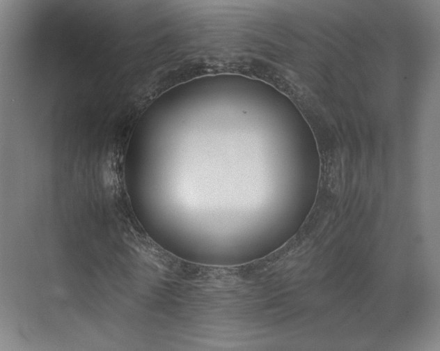 X0000074970770200609011215