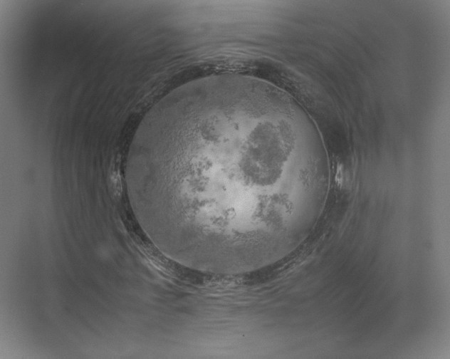 X0000074970771200609011215