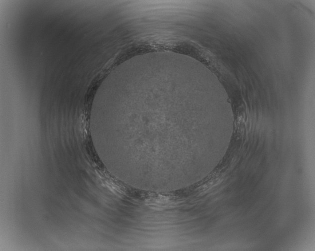 X0000074970772200609011215