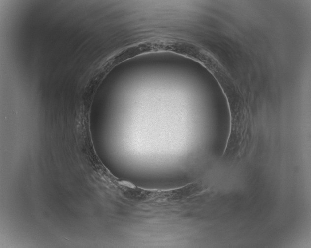 X0000074970773200609011215