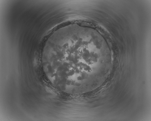 X0000074970775200609011215