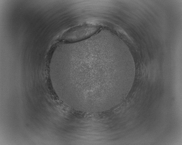 X0000074970776200609011215