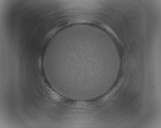 X0000074970777200609011215