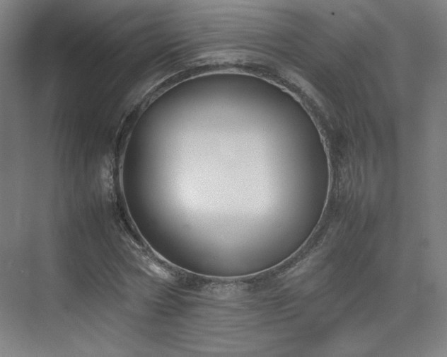 X0000074970778200609011215