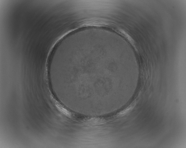 X0000074970779200609011215