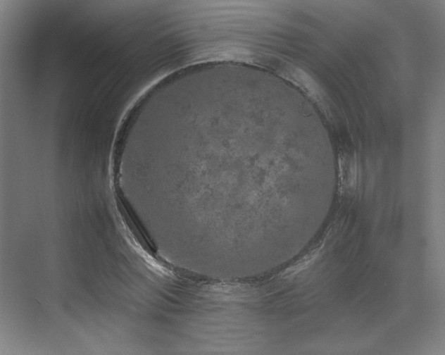 X0000074970780200609011215