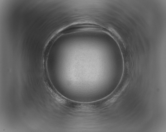 X0000074970781200609011215