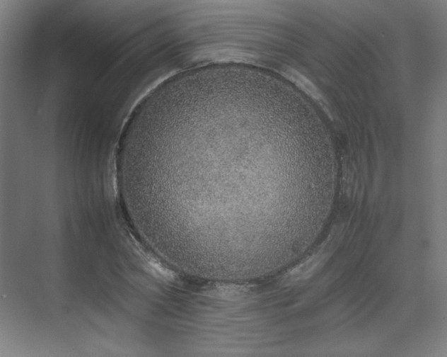 X0000074970782200609011215