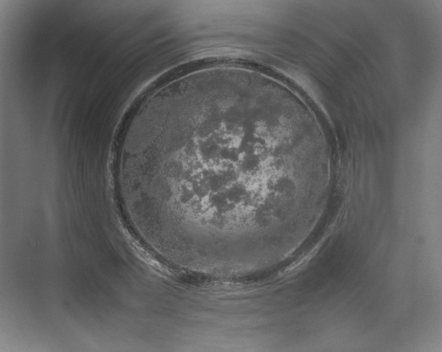 X0000074970783200609011215