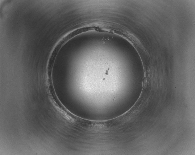 X0000074970784200609011215