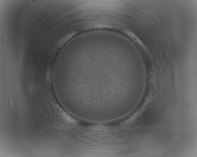 X0000074970785200609011215