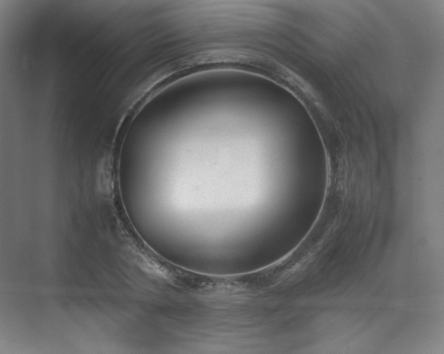 X0000074970786200609011215