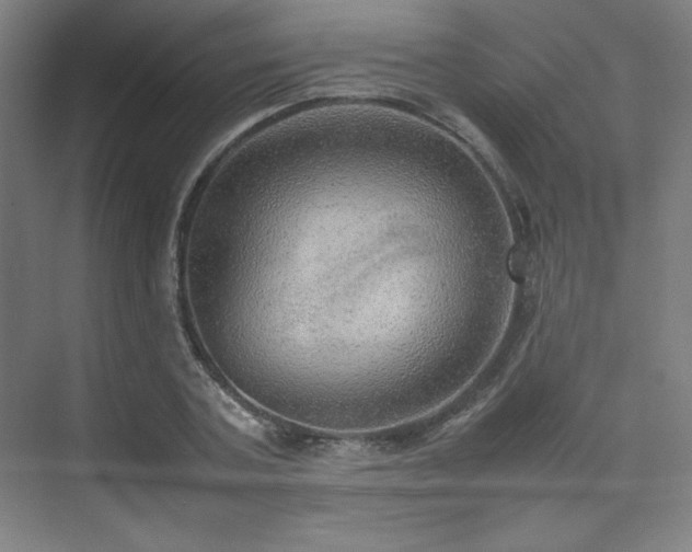 X0000074970787200609011214