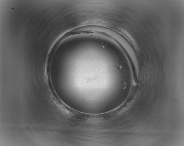 X0000074970788200609011214