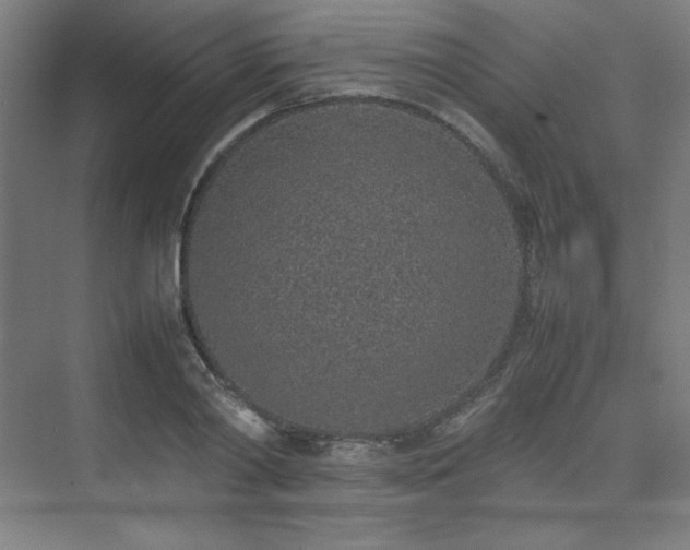 X0000074970790200609011214