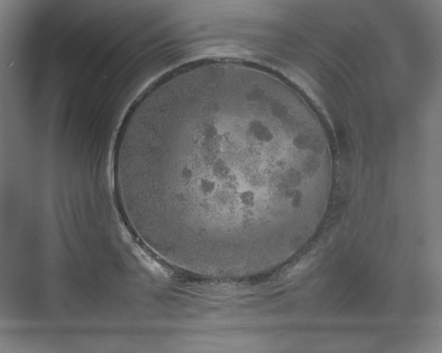 X0000074970791200609011214