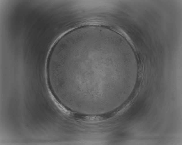 X0000074970795200609011214