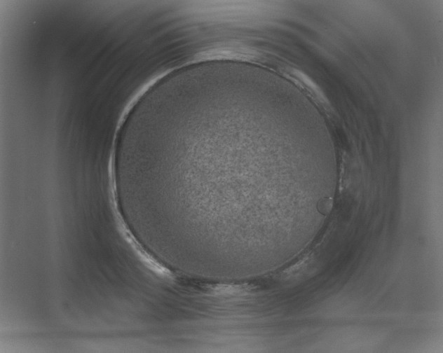 X0000074970796200609011214