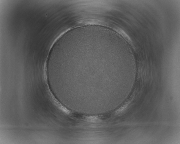 X0000074970798200609011214