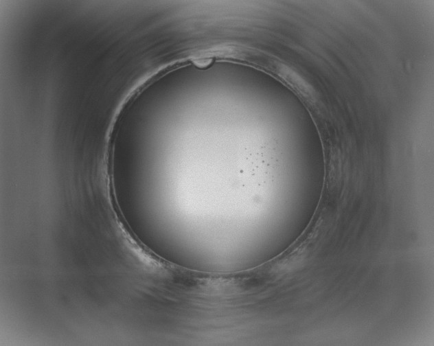 X0000074970800200609011214