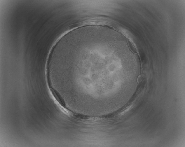 X0000074970803200609011214