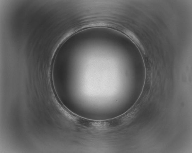 X0000074970805200609011214